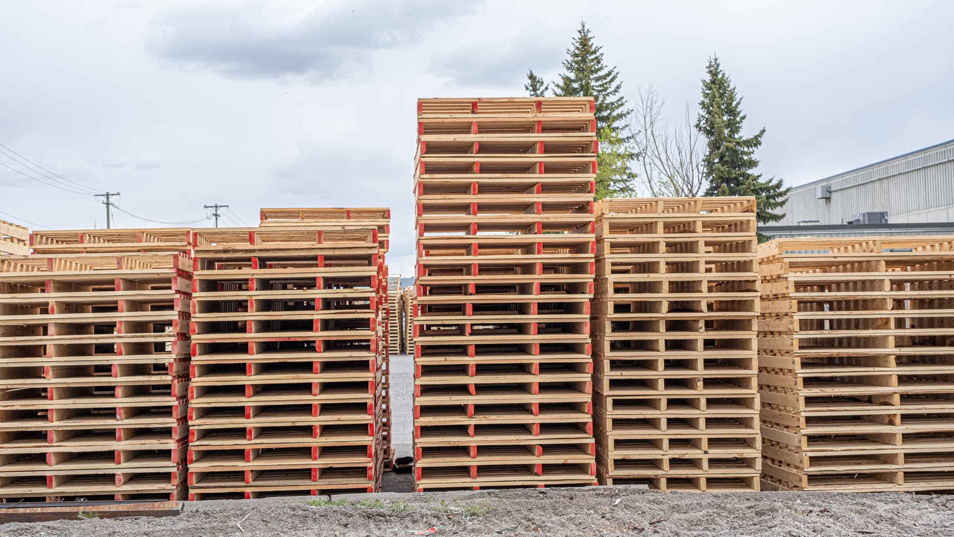 New pallets with exceptional service and turnaround